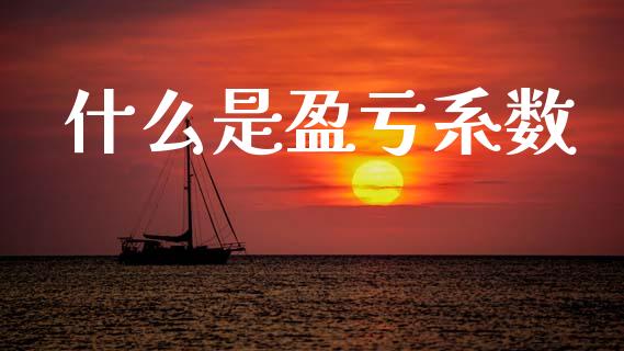 什么是盈亏系数_https://www.gongyisiwang.com_股指期货_第1张