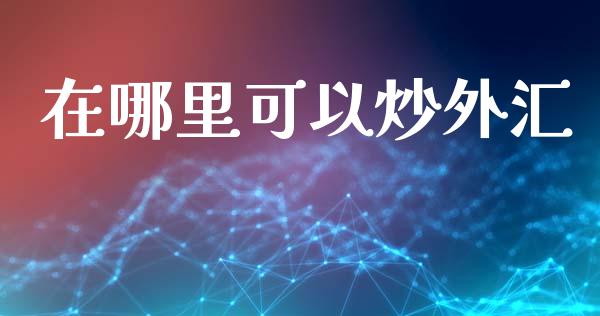 在哪里可以炒外汇_https://www.gongyisiwang.com_股指期货_第1张