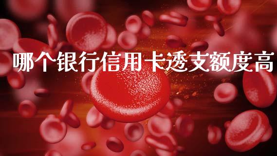 哪个银行信用卡透支额度高_https://www.gongyisiwang.com_股指期货交易手续费_第1张
