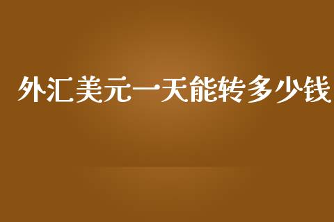 外汇美元一天能转多少钱_https://www.gongyisiwang.com_股指期货_第1张