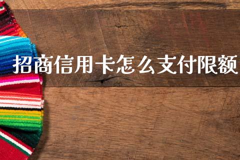 招商信用卡怎么支付限额_https://www.gongyisiwang.com_恒指期货_第1张