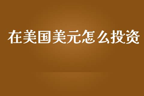 在美国美元怎么投资_https://www.gongyisiwang.com_焦炭期货手续费_第1张