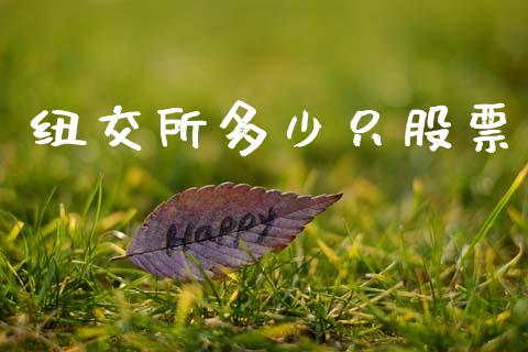 纽交所多少只股票_https://www.gongyisiwang.com_焦炭期货手续费_第1张