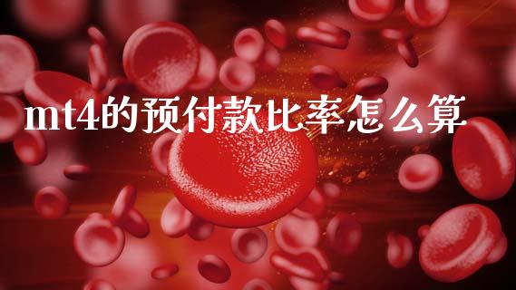 mt4的预付款比率怎么算_https://www.gongyisiwang.com_期货公司手续费排名_第1张