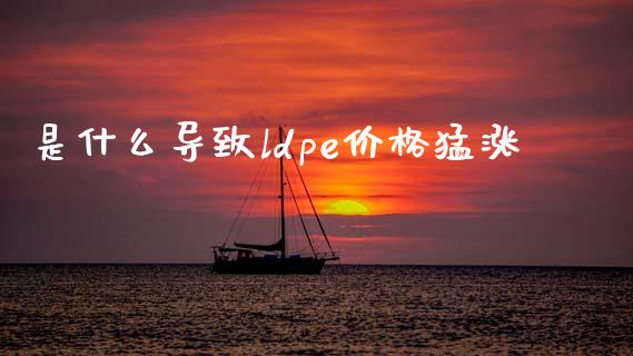 是什么导致ldpe价格猛涨_https://www.gongyisiwang.com_股指期货_第1张