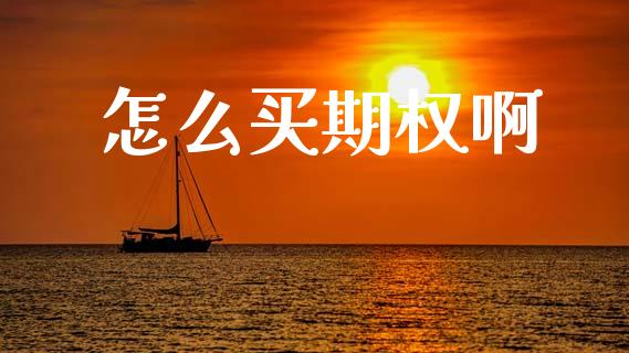 怎么买期权啊_https://www.gongyisiwang.com_股指期货交易手续费_第1张
