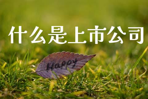 什么是上市公司_https://www.gongyisiwang.com_道指_第1张