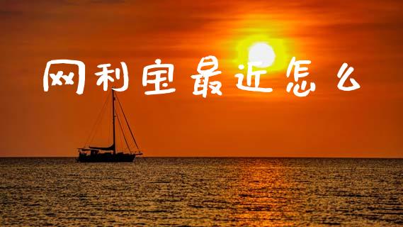 网利宝最近怎么_https://www.gongyisiwang.com_恒指期货_第1张