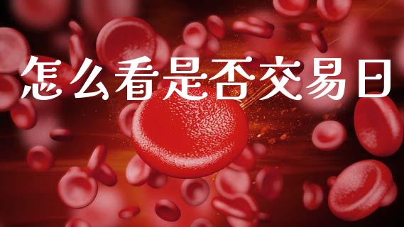 怎么看是否交易日_https://www.gongyisiwang.com_股指期货交易手续费_第1张