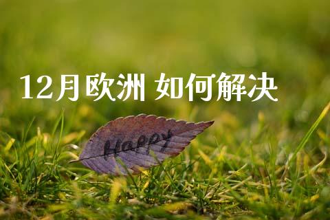 12月欧洲 如何解决_https://www.gongyisiwang.com_期货公司手续费排名_第1张