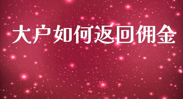 大户如何返回佣金_https://www.gongyisiwang.com_期货公司手续费排名_第1张