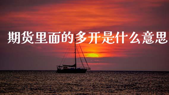 期货里面的多开是什么意思_https://www.gongyisiwang.com_原油期货_第1张