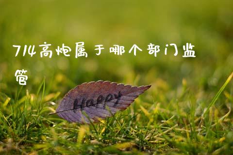 714高炮属于哪个部门监管_https://www.gongyisiwang.com_恒指期货_第1张