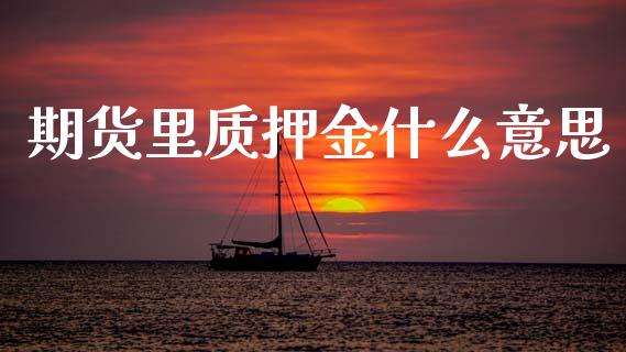 期货里质押金什么意思_https://www.gongyisiwang.com_原油期货_第1张