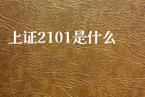 上证2101是什么_https://www.gongyisiwang.com_广发期货手续费_第1张