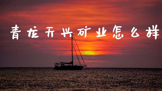 青龙天兴矿业怎么样_https://www.gongyisiwang.com_焦炭期货手续费_第1张