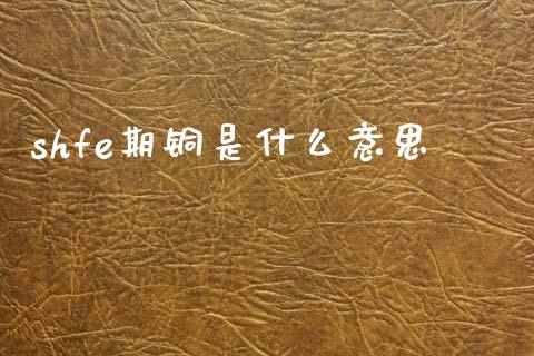 shfe期铜是什么意思_https://www.gongyisiwang.com_道指_第1张