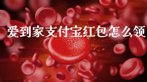 爱到家支付宝红包怎么领_https://www.gongyisiwang.com_期货公司手续费排名_第1张