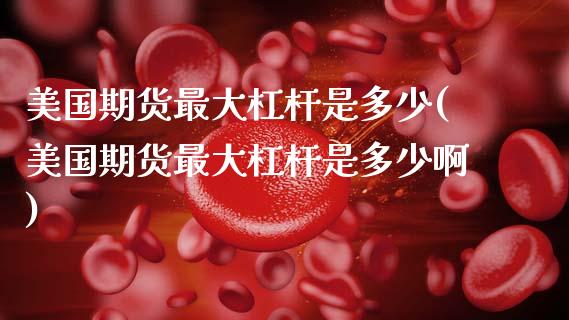 美国期货最大杠杆是多少(美国期货最大杠杆是多少啊)_https://www.gongyisiwang.com_股指期货交易手续费_第1张