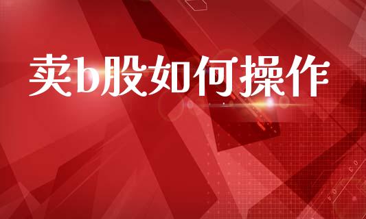 卖b股如何操作_https://www.gongyisiwang.com_广发期货手续费_第1张