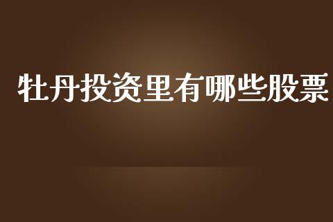 牡丹投资里有哪些股票_https://www.gongyisiwang.com_股指期货交易手续费_第1张
