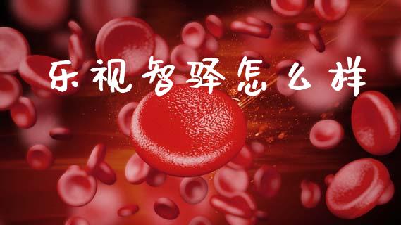 乐视智驿怎么样_https://www.gongyisiwang.com_广发期货手续费_第1张