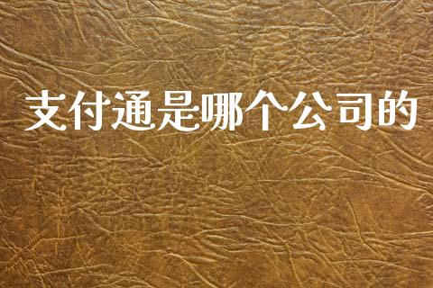 支付通是哪个公司的_https://www.gongyisiwang.com_广发期货手续费_第1张