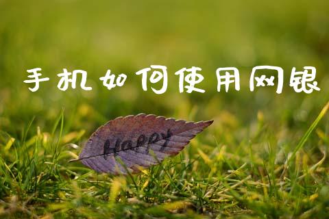 手机如何使用网银_https://www.gongyisiwang.com_焦炭期货手续费_第1张