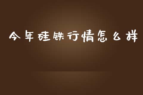 今年硅铁行情怎么样_https://www.gongyisiwang.com_股指期货交易手续费_第1张