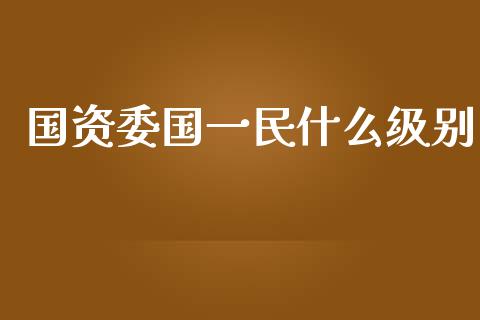 国资委国一民什么级别_https://www.gongyisiwang.com_股指期货交易手续费_第1张