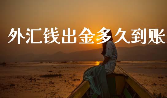 外汇钱出金多久到账_https://www.gongyisiwang.com_股指期货交易手续费_第1张