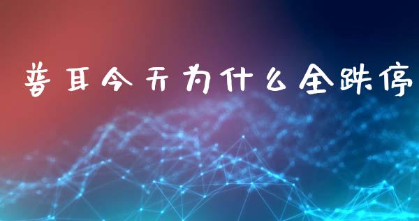 普耳今天为什么全跌停_https://www.gongyisiwang.com_股指期货_第1张