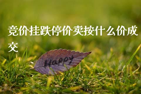 竞价挂跌停价卖按什么价成交_https://www.gongyisiwang.com_股指期货_第1张