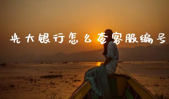 光大银行怎么查客服编号_https://www.gongyisiwang.com_原油期货_第1张