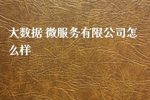 大数据 微服务有限公司怎么样_https://www.gongyisiwang.com_原油期货_第1张
