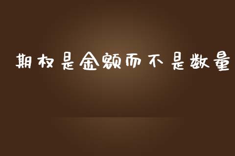 期权是金额而不是数量_https://www.gongyisiwang.com_广发期货手续费_第1张