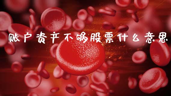 账户资产不够股票什么意思_https://www.gongyisiwang.com_焦炭期货手续费_第1张