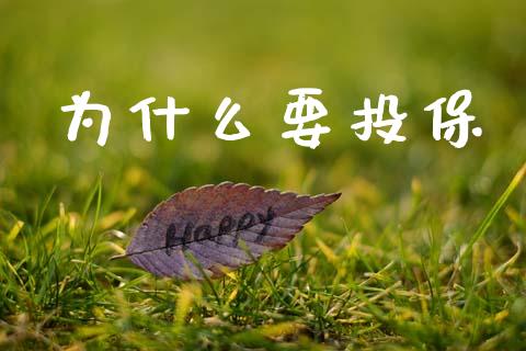 为什么要投保_https://www.gongyisiwang.com_期货公司手续费排名_第1张