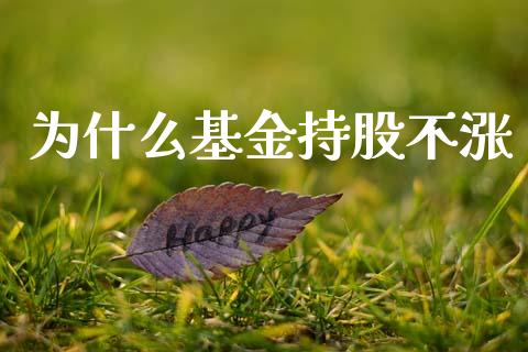 为什么基金持股不涨_https://www.gongyisiwang.com_期货公司手续费排名_第1张