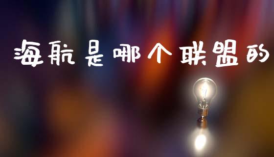 海航是哪个联盟的_https://www.gongyisiwang.com_期货公司手续费排名_第1张