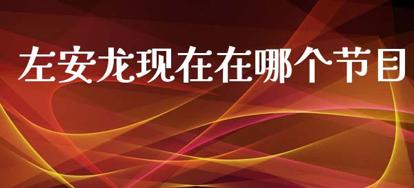 左安龙现在在哪个节目_https://www.gongyisiwang.com_广发期货手续费_第1张