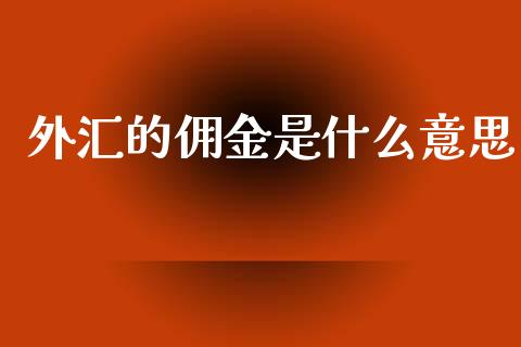 外汇的佣金是什么意思_https://www.gongyisiwang.com_期货公司手续费排名_第1张