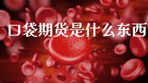 口袋期货是什么东西_https://www.gongyisiwang.com_道指_第1张
