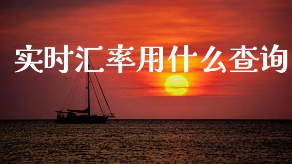 实时汇率用什么查询_https://www.gongyisiwang.com_焦炭期货手续费_第1张