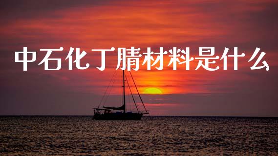 中石化丁腈材料是什么_https://www.gongyisiwang.com_焦炭期货手续费_第1张