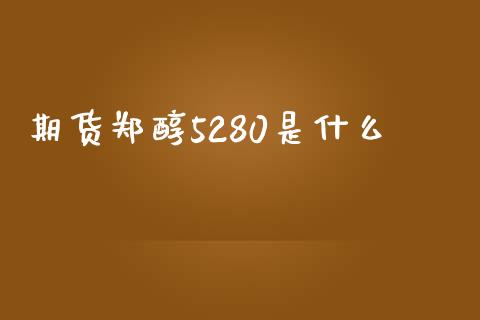 期货郑醇5280是什么_https://www.gongyisiwang.com_股指期货交易手续费_第1张