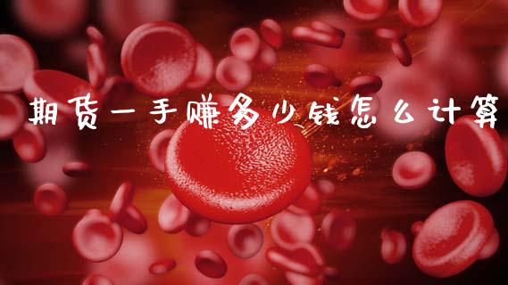 期货一手赚多少钱怎么计算_https://www.gongyisiwang.com_道指_第1张