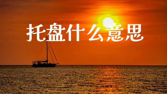托盘什么意思_https://www.gongyisiwang.com_原油期货_第1张