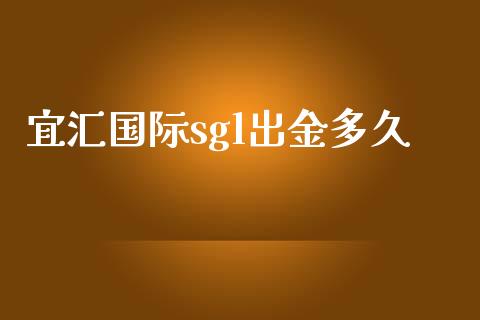 宜汇国际sgl出金多久_https://www.gongyisiwang.com_股指期货_第1张