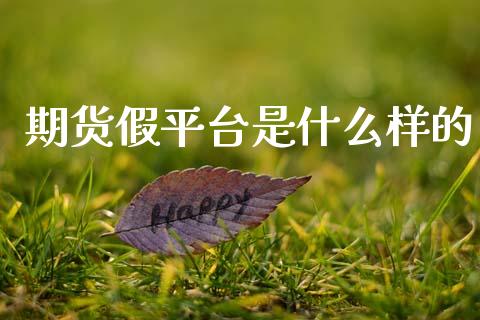 期货假平台是什么样的_股指期货交易手续费_第1张_股指期货交易手续费_广发期货手续费_期货公司手续费排名_焦炭期货手续费 期货假平台是什么样的_https://www.gongyisiwang.com_股指期货交易手续费_第1张